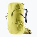 Deuter Climber 22 l sprout/linden children's hiking backpack 6