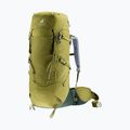 Deuter Aircontact Core 40 + 10 l cactus/ivy trekking backpack 5