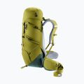 Deuter Aircontact Core 40 + 10 l cactus/ivy trekking backpack 7