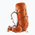 Women's trekking backpack deuter Aircontact Core 55+10 l SL chestnut/umbra 3