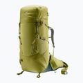 Deuter Aircontact Core 70+10 l cactus/ ivy trekking backpack 2