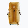 Deuter Trail 24 l almond/deepsea hiking backpack