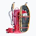 Women's deuter Freerider 28 l SL hibiscus/ ruby ski backpack 11