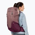 Women's hiking backpack deuter Futura 30 l SL ashrose-cassis 11