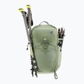 Hiking backpack deuter Trail 25 l grove/ivy 9