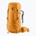 Trekking backpack deuter Aircontact Lite 40 + 10 l amber-maple 11