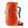 Deuter Climber 22 l hiking backpack papaya/redwood 5