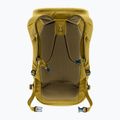 Hiking backpack deuter Walker 24 l kelp 3