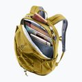 Backpack deuter Gogo 25 l kelp/nori 8
