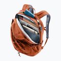 Backpack Deuter Gogo copper/oak 8