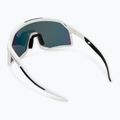DYNAFIT Trail Evo sunglasses white/black 2