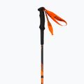 DYNAFIT Alpine dawn cross-country ski poles 3