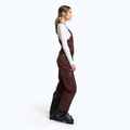 Women's ski trousers Maloja W'S MaleachiM brown 32102 3