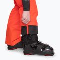 Maloja DumeniM men's ski trousers orange 34205-1-8046 7