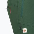 Women's trekking trousers Maloja RouvnaM green 35123 3