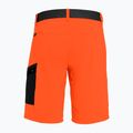 Men's trekking shorts Salewa Pedroc Cargo 2 orange 00-0000026934 5