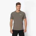 Salewa Lavaredo Hemp green men's trekking shirt 00-0000028061