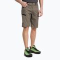 Salewa Lavaredo Hemp men's hiking shorts brown 00-0000028033