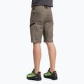 Salewa Lavaredo Hemp men's hiking shorts brown 00-0000028033 3