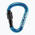Climbing carabiner Salewa HMS Screw G2 blue