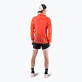Men's DYNAFIT Vert Wind 72 dawn running jacket 3