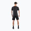 Men's DYNAFIT Alpine 2 running shirt green 08-0000071456 2