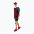 Men's DYNAFIT Alpine Pro running shirt maroon 08-0000070964