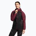 DYNAFIT women's skit jacket Radical Dwn RDS Hood red 08-0000070915