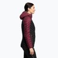 DYNAFIT women's skit jacket Radical Dwn RDS Hood red 08-0000070915 3