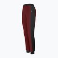 Salewa Lavaredo Hemp Train women's trekking trousers syrah/0910 3