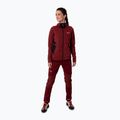Salewa women's trekking sweatshirt Lavaredo Hemp Hooded red 00-0000028238