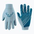 DYNAFIT Ski Gloves Upcycled Thermal blue fog