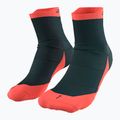 DYNAFIT Transalper running socks bluberry/fluo coral