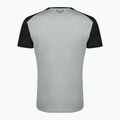 Men's DYNAFIT Transalper Light grey hiking t-shirt 08-0000071298 2