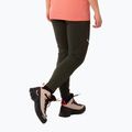 Women's hiking leggings Salewa Puez Dry Resp Cargo green 00-0000028331 3