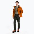 Salewa men's trekking trousers Talveno 2 DST green 00-0000027804 2