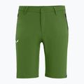 Salewa Talveno DST men's hiking shorts light green 00-0000027064 4