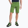 Salewa Talveno DST men's hiking shorts light green 00-0000027064