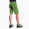 Salewa Talveno DST men's hiking shorts light green 00-0000027064 3