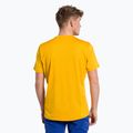 Salewa men's trekking shirt Puez Hybrid 2 Dry yellow 00-0000027397 3