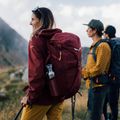 Salewa women's softshell jacket Agner DST burgundy 00-0000028301 14