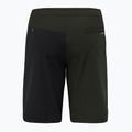 Salewa Lavaredo Hemp Ripstop men's climbing shorts black 00-0000028552 6