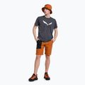 Salewa men's climbing shorts Lavaredo Hemp Ripstop brown 00-0000028552 2