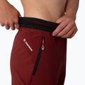 Women's trekking trousers Salewa Pedroc 2 DST 2/1 maroon 00-0000028588 5