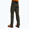 Men's trekking trousers Salewa Pedroc 4 DST green 00-0000028591 3