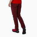 Women's trekking trousers Salewa Pedroc 4 DST burgundy 00-0000028594 2