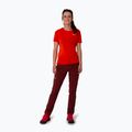 Women's trekking trousers Salewa Pedroc 4 DST burgundy 00-0000028594 3