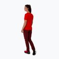 Women's trekking trousers Salewa Pedroc 4 DST burgundy 00-0000028594 4