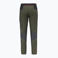 Men's trekking trousers Salewa Pedroc 2 DST Light green 00-0000028597 6