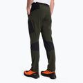 Men's trekking trousers Salewa Pedroc 2 DST Light green 00-0000028597 3